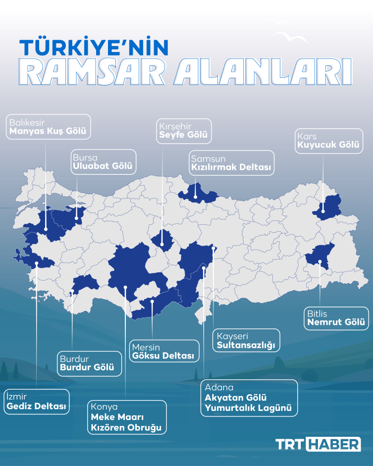 Türkiye'de 131 sulak alan koruma altında